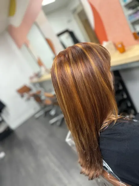 Long straight copper hair viewed from behind